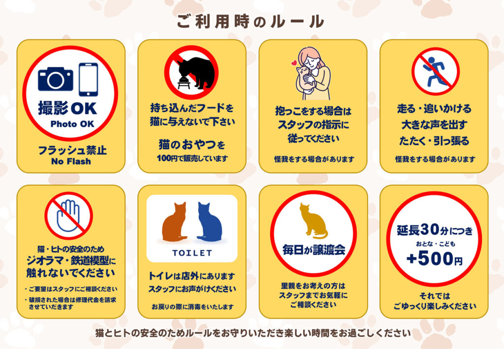 知らないと即退店？猫カフェの禁止事項と初心者が守るべき鉄則