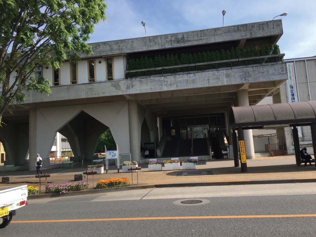 北海道特産ハスカップとは？不老長寿の理由とブルーベリーとの違いを徹底解剖
