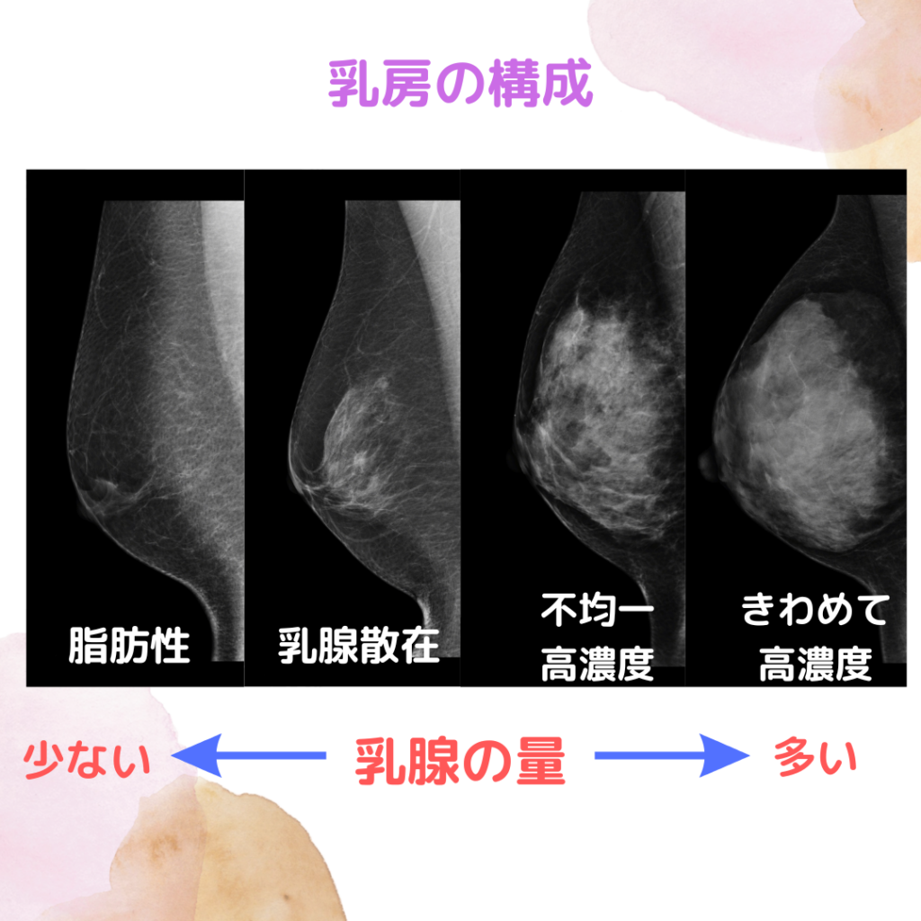 普通のシミ対策は危険？肝斑の治し方と2026年最新治療の真相