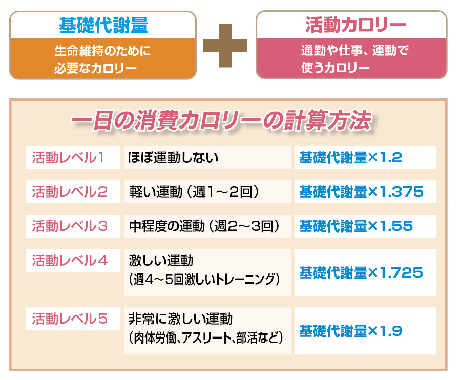 【2026年最新】体型維持とボディメイクの起点「メンテナンスカロリー計算」完全攻略｜Ai時代の科学的アプローチ
