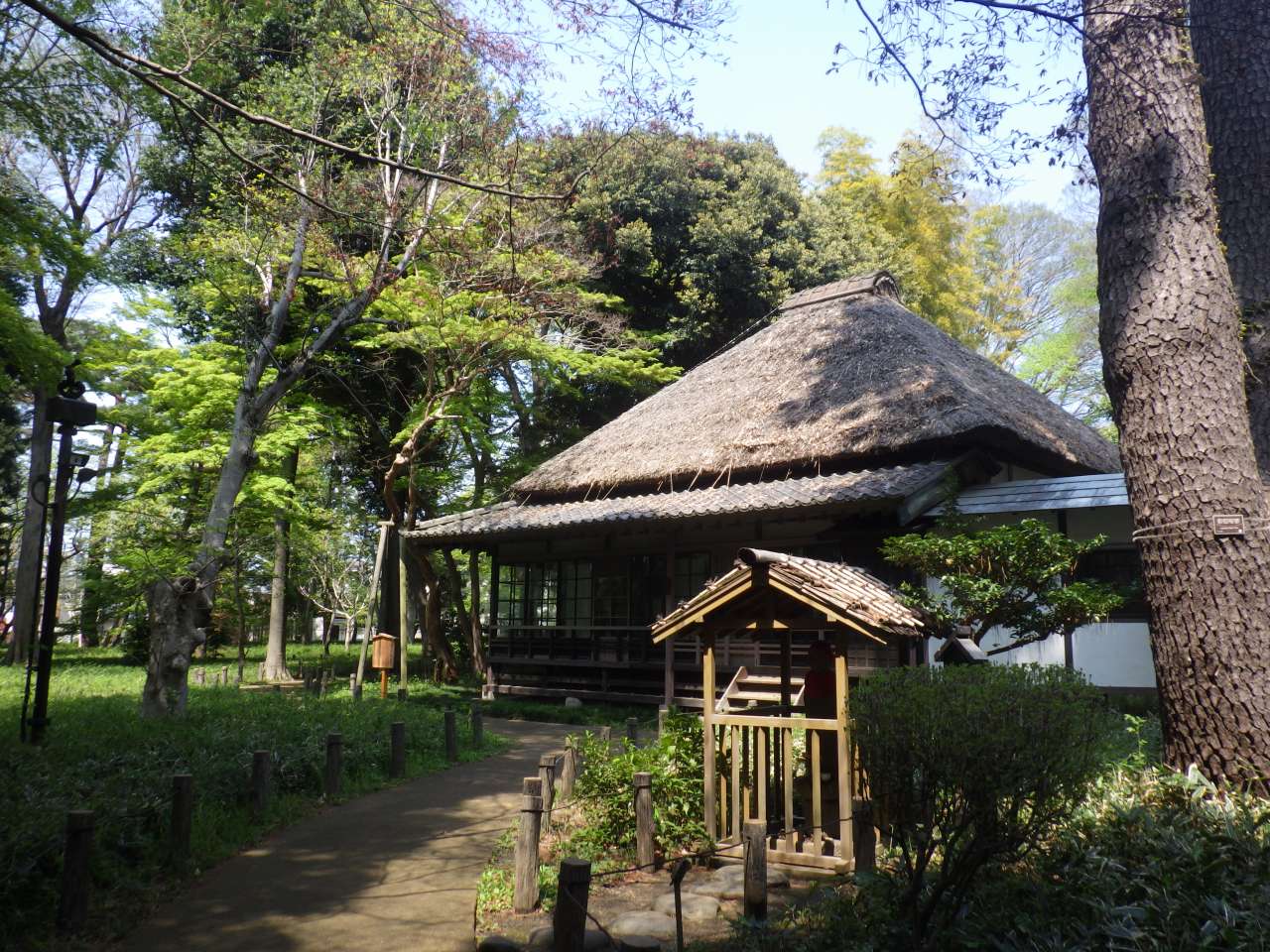 世田谷・蘆花恒春園の歩き方｜文豪旧宅の歴史から花の丘まで徹底ガイド