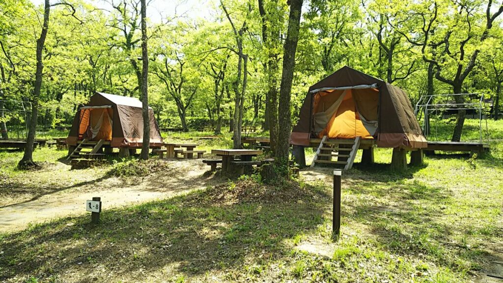 動画配信サブスク値上げに悲鳴！月額費用を劇的に抑える極秘節約術