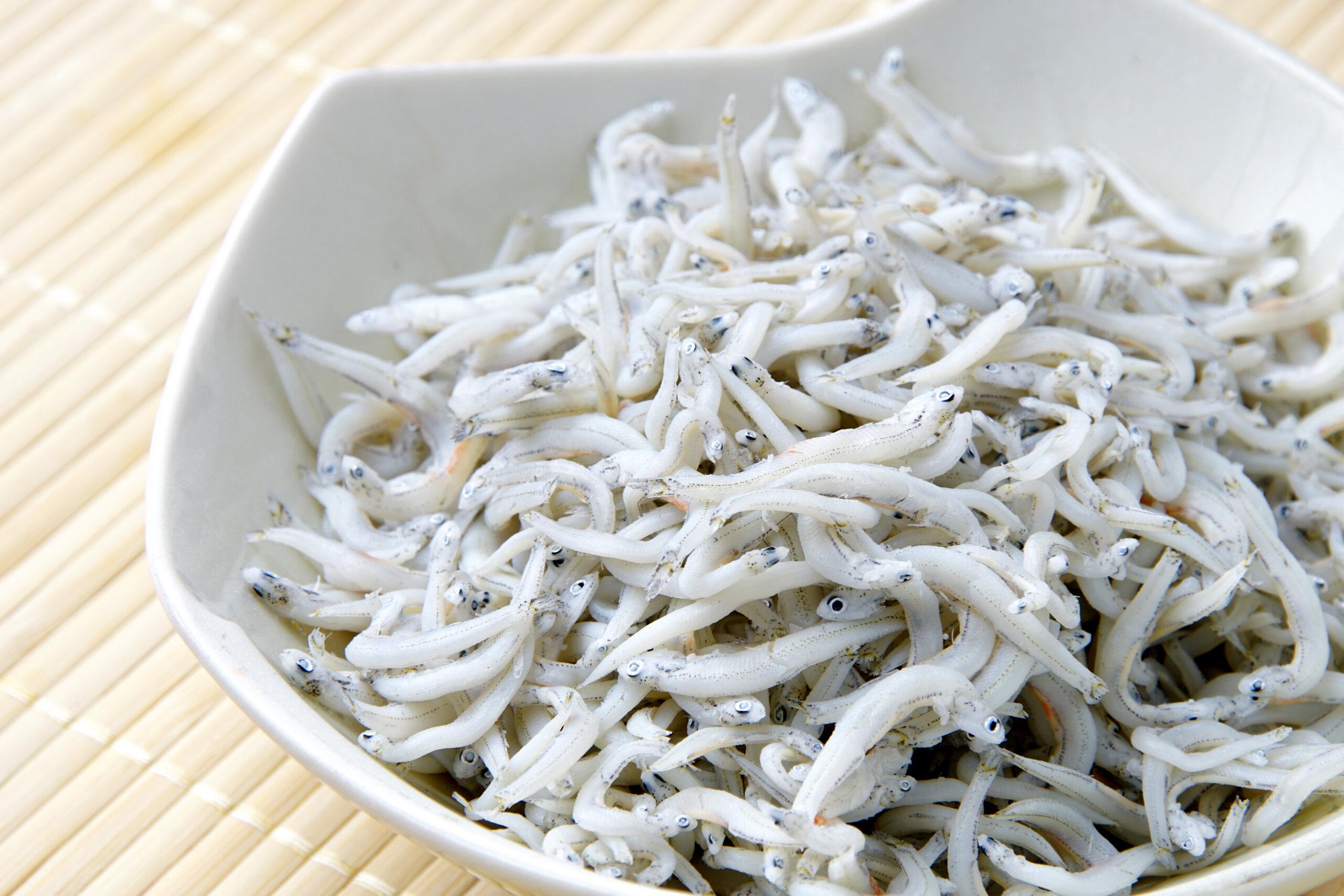 江の島・腰越の風を喰らう。2026年春、なぜ私たちは今なお「しらすや」の生しらす丼を求めて行列に並ぶのか