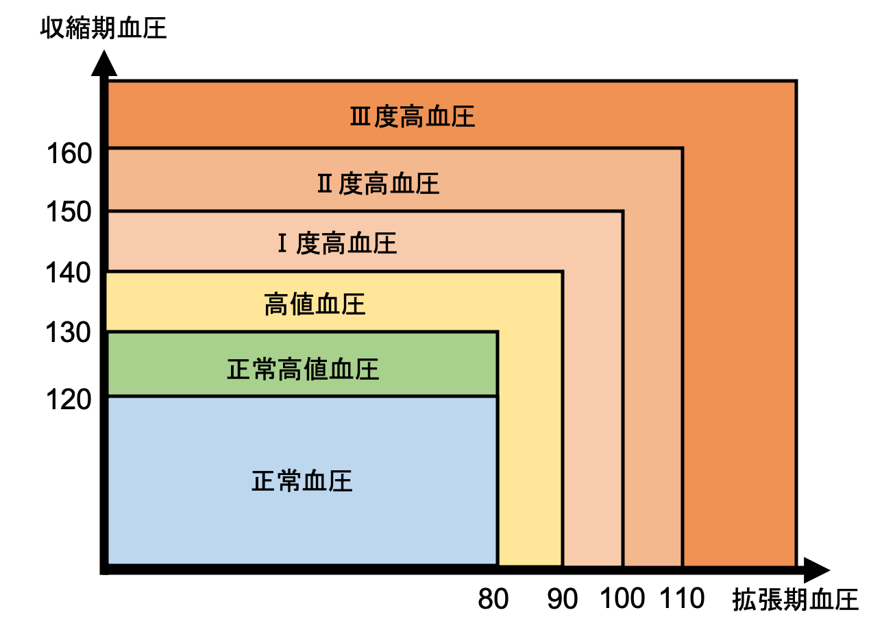 耳を引っ張るだけで血圧は下がる？神門・降圧溝の正しい押し方と真相