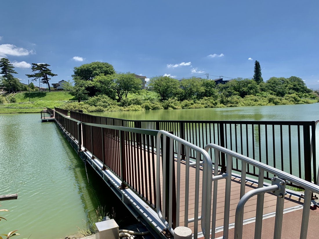 七本木池公園の全貌と噂の真相｜遊具や桜・釣り禁止の理由を徹底調査