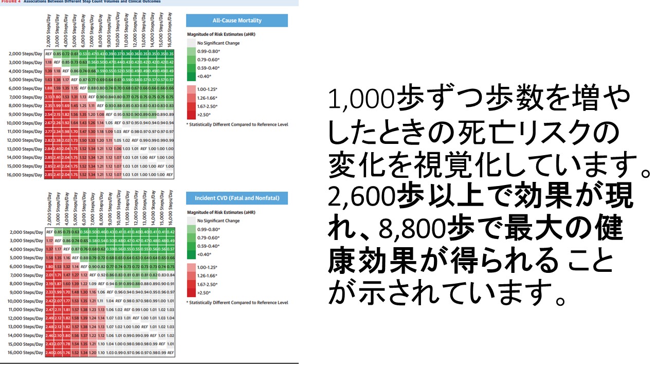 1日1万歩は歩きすぎ？最新研究が明かす「1日の歩数の理想」と健康寿命の真相