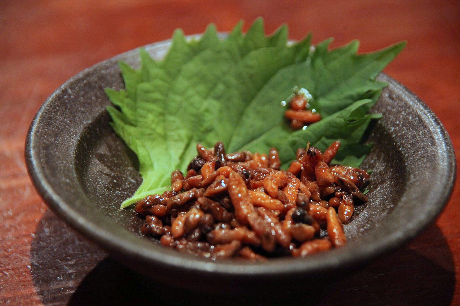 蜂の子の味は本当にまずい？ウナギの肝と噂の真相や実食評価を徹底解剖