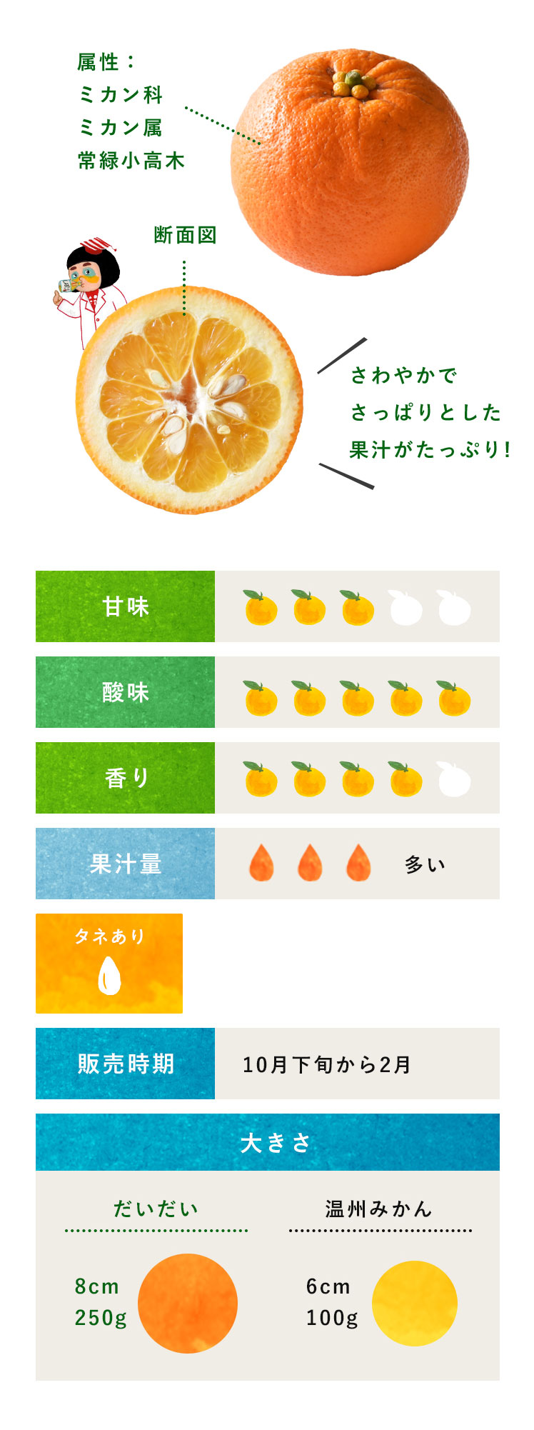 「だいだい」の本当の意味と語源とは？正月飾りに隠された意外な歴史