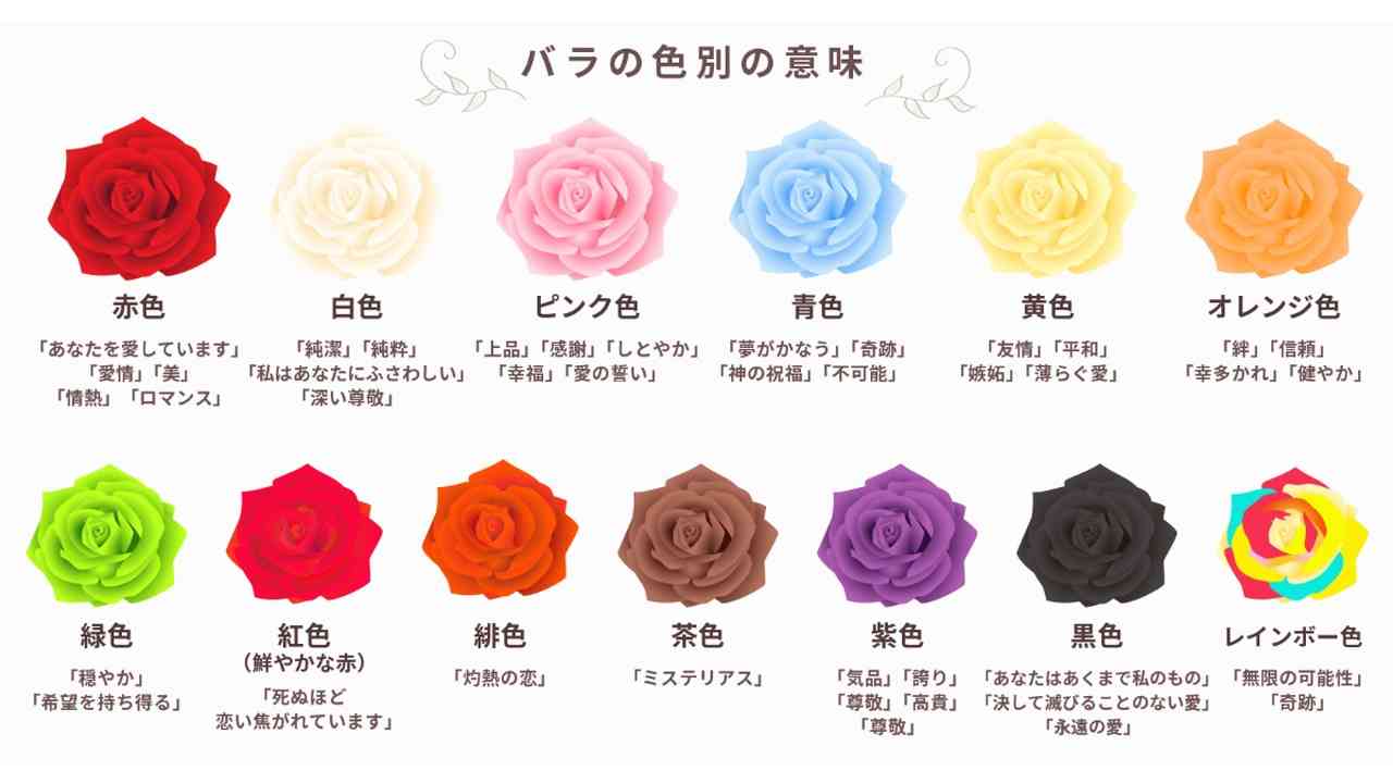 バラの花言葉は色と本数で危険？贈る前に知るべき裏の意味とマナー