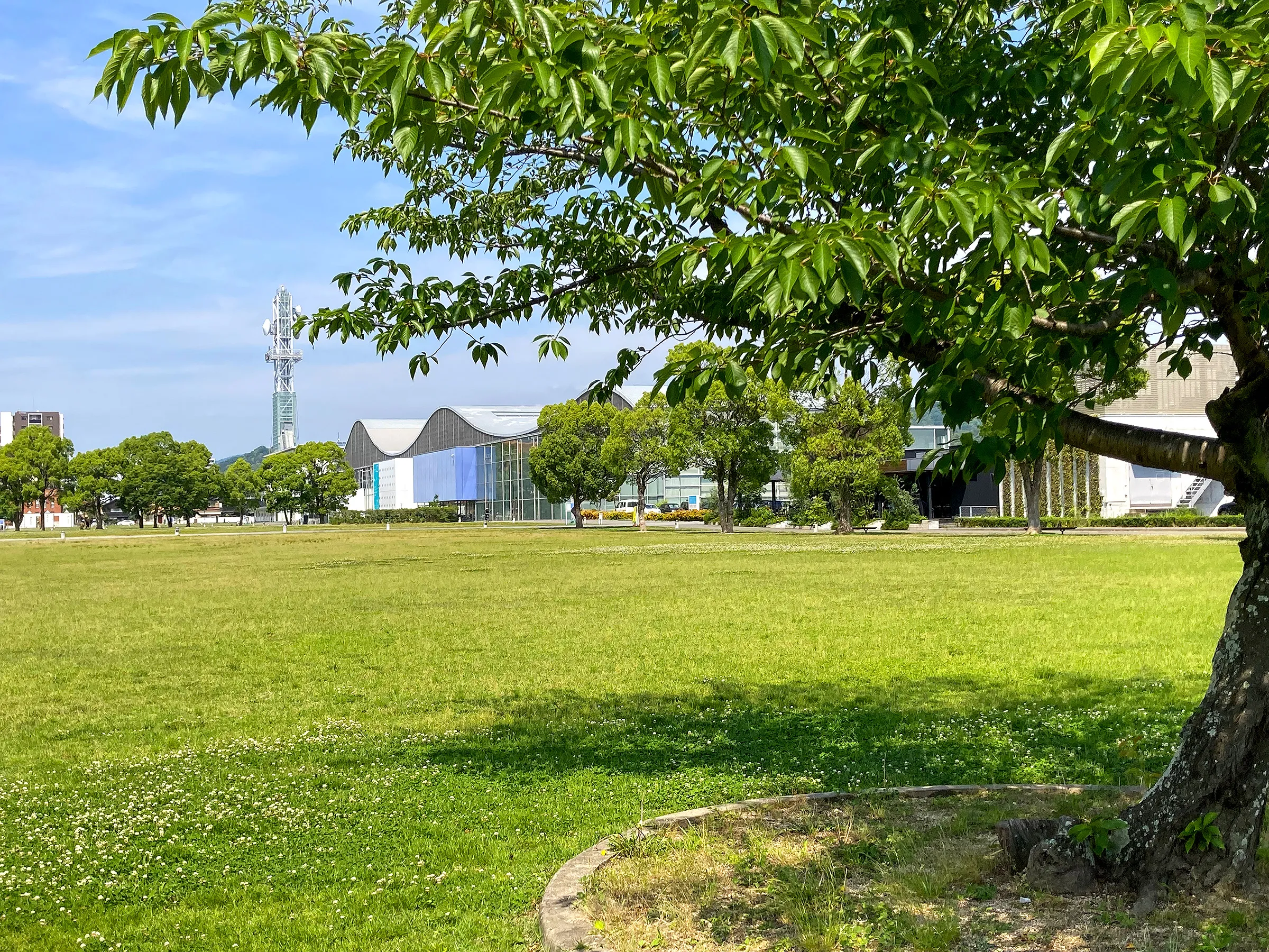 山口市中央公園が子連れに選ばれる理由｜2026年最新の魅力と攻略法