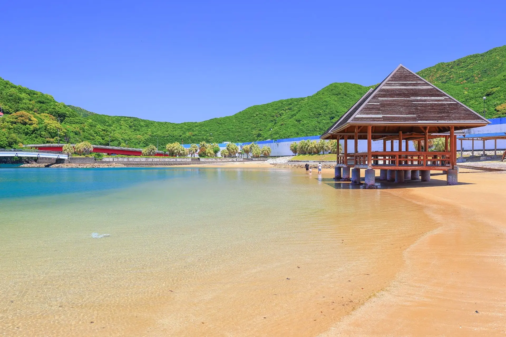 錦向井ヶ浜トロピカルガーデン完全攻略！海水プールと営業実態2026