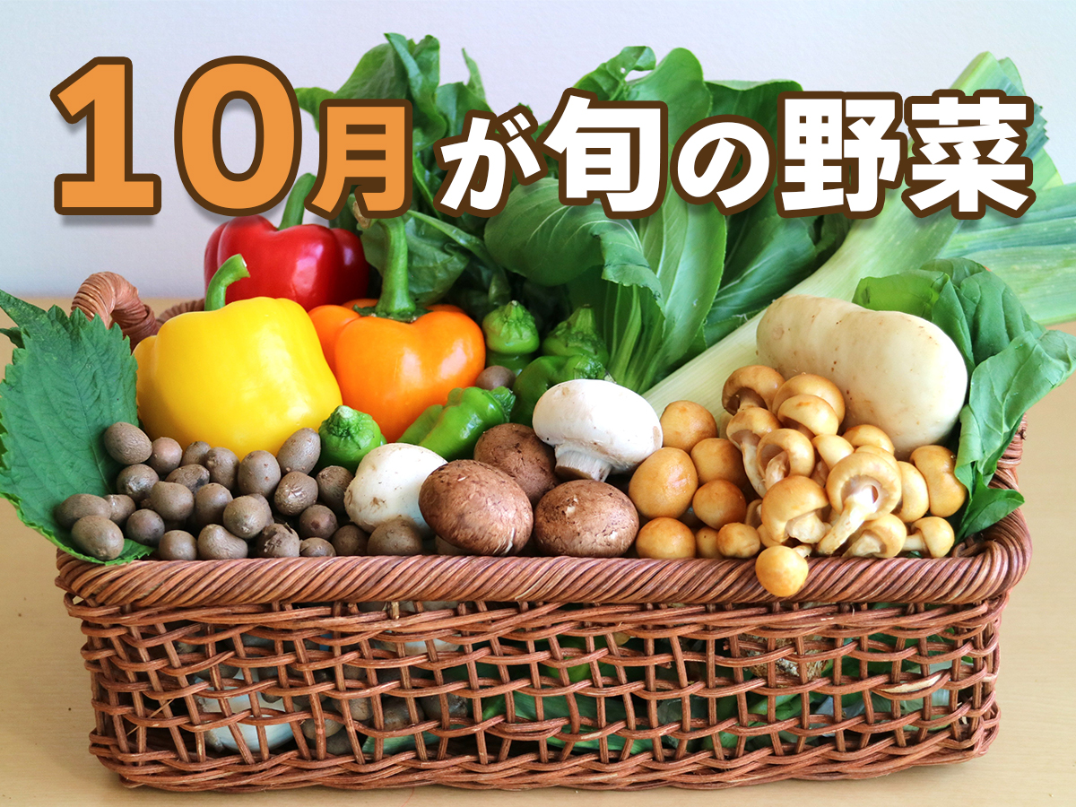 10月の旬野菜決定版！極上の選び方と劇的うまレシピ【2026年最新】