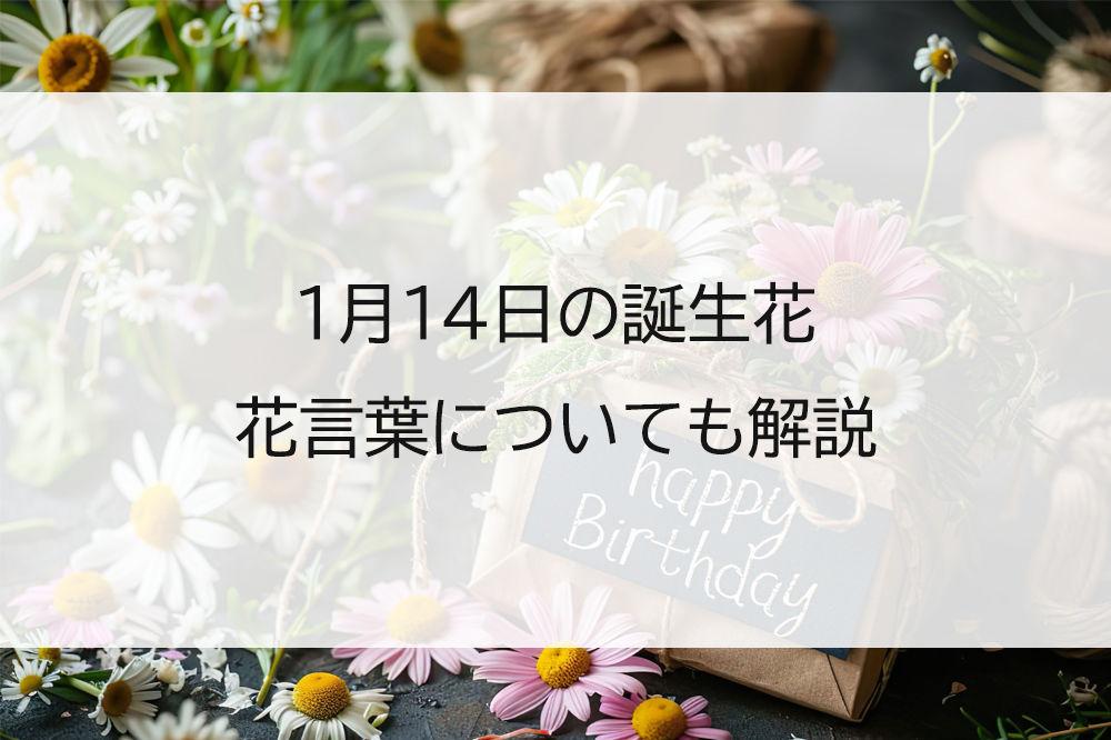 365日分の鮨言葉が話題！誕生鮨の由来と職人が明かす選定基準