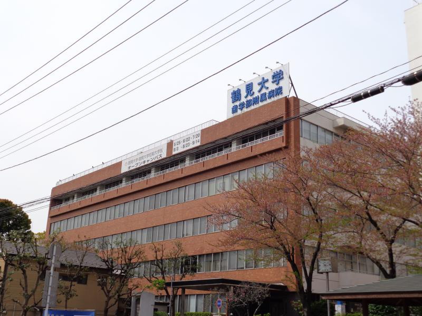 鶴見大学歯学部附属病院の評判と初診予約｜口腔外科やインプラントの真相