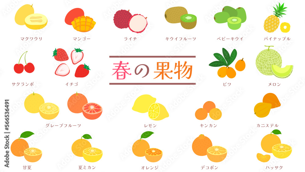 フルーツポンチ村上の現在とは？俳句での快挙と膝神伝説の真相に迫る