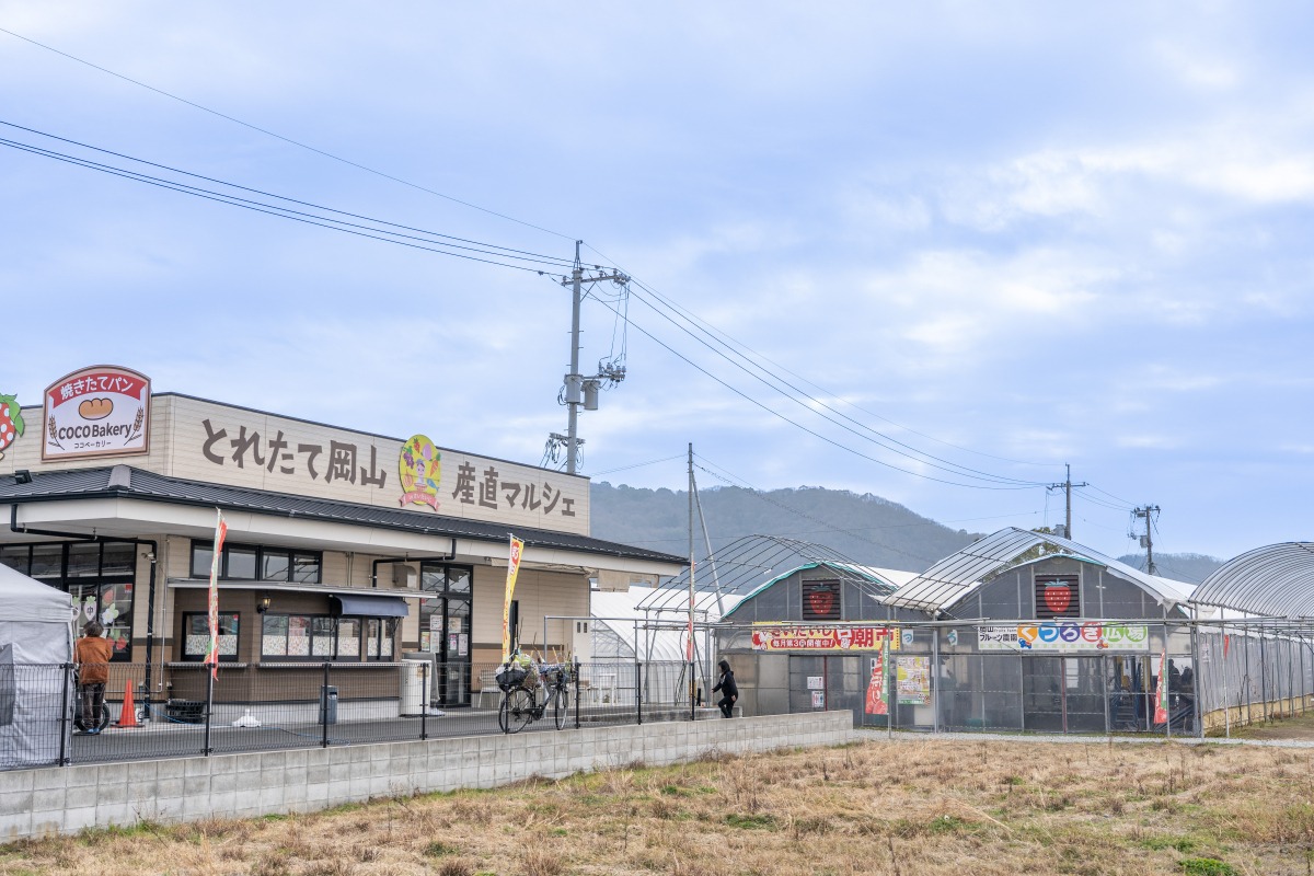 岡山フルーツ農園おすすめ完全攻略！白桃＆ぶどう食べ放題の真相