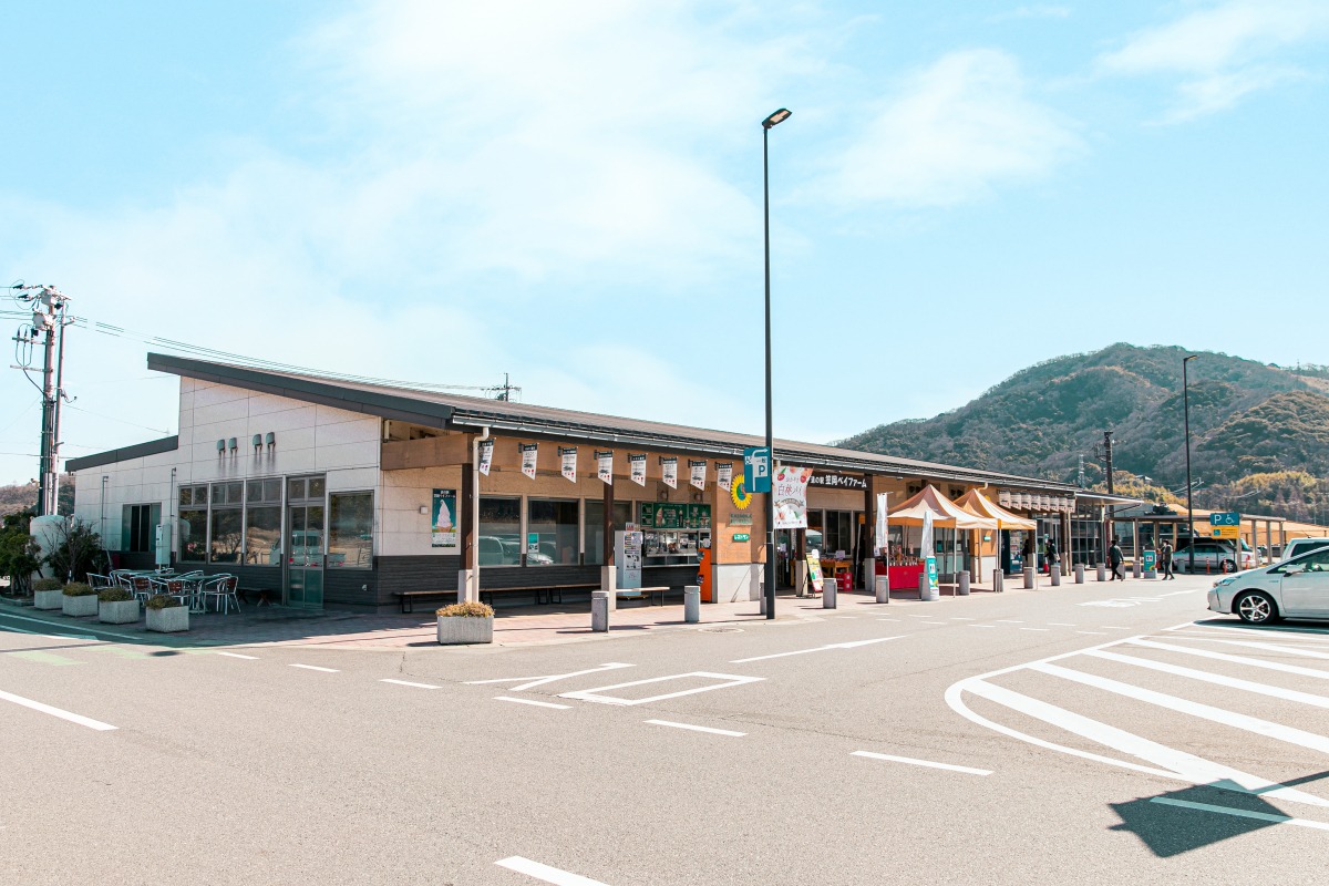 道の駅笠岡ベイファーム2026！花畑と海鮮の魅力・混雑攻略