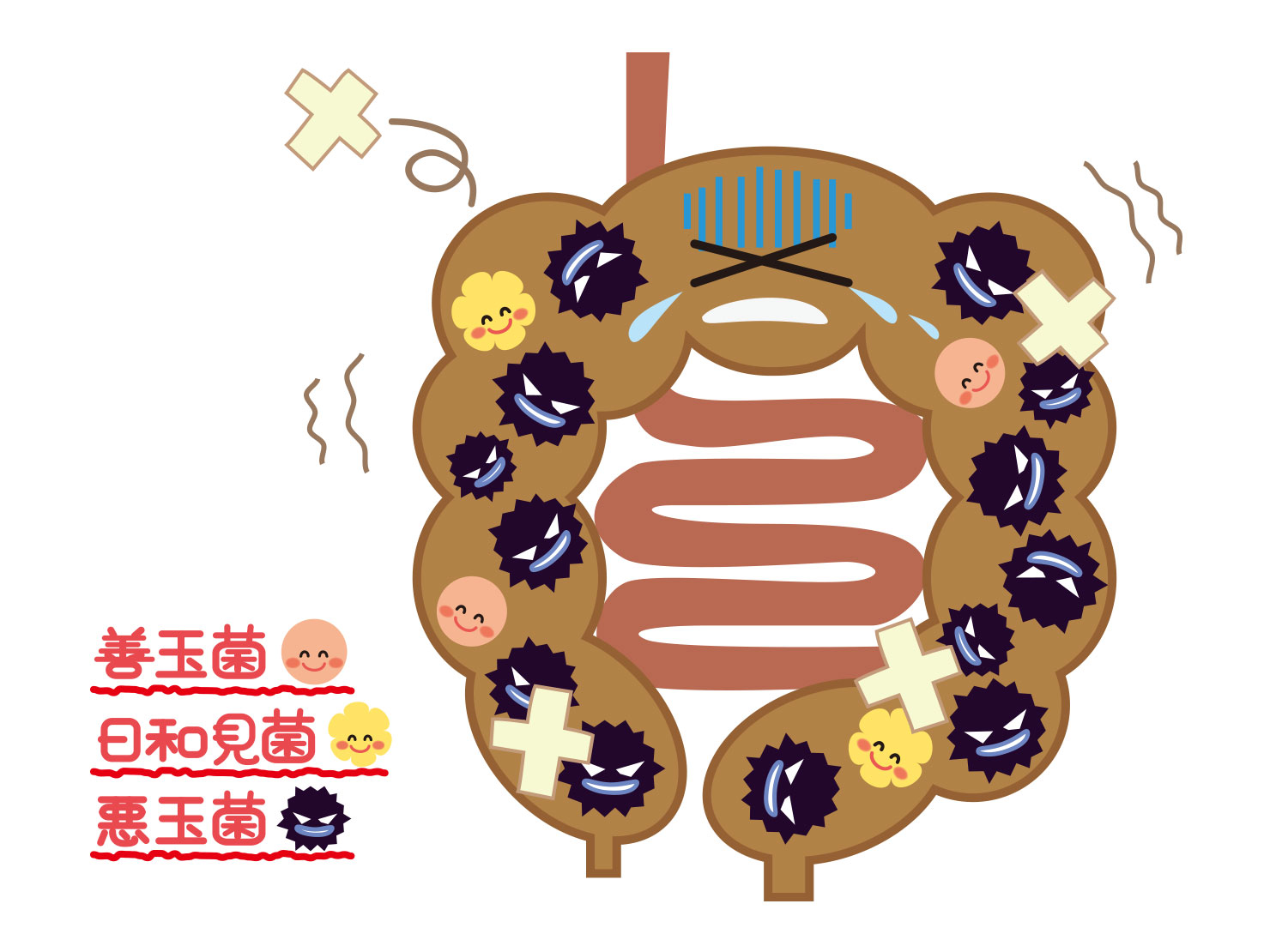 茎わかめの効能に驚きの声！便秘解消・血糖値抑制と食べ過ぎの落とし穴
