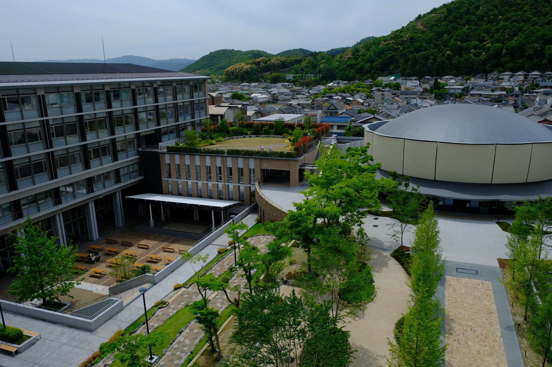 佛教大学紫野キャンパスの評判と実態！学部・アクセス・生活環境を徹底解剖
