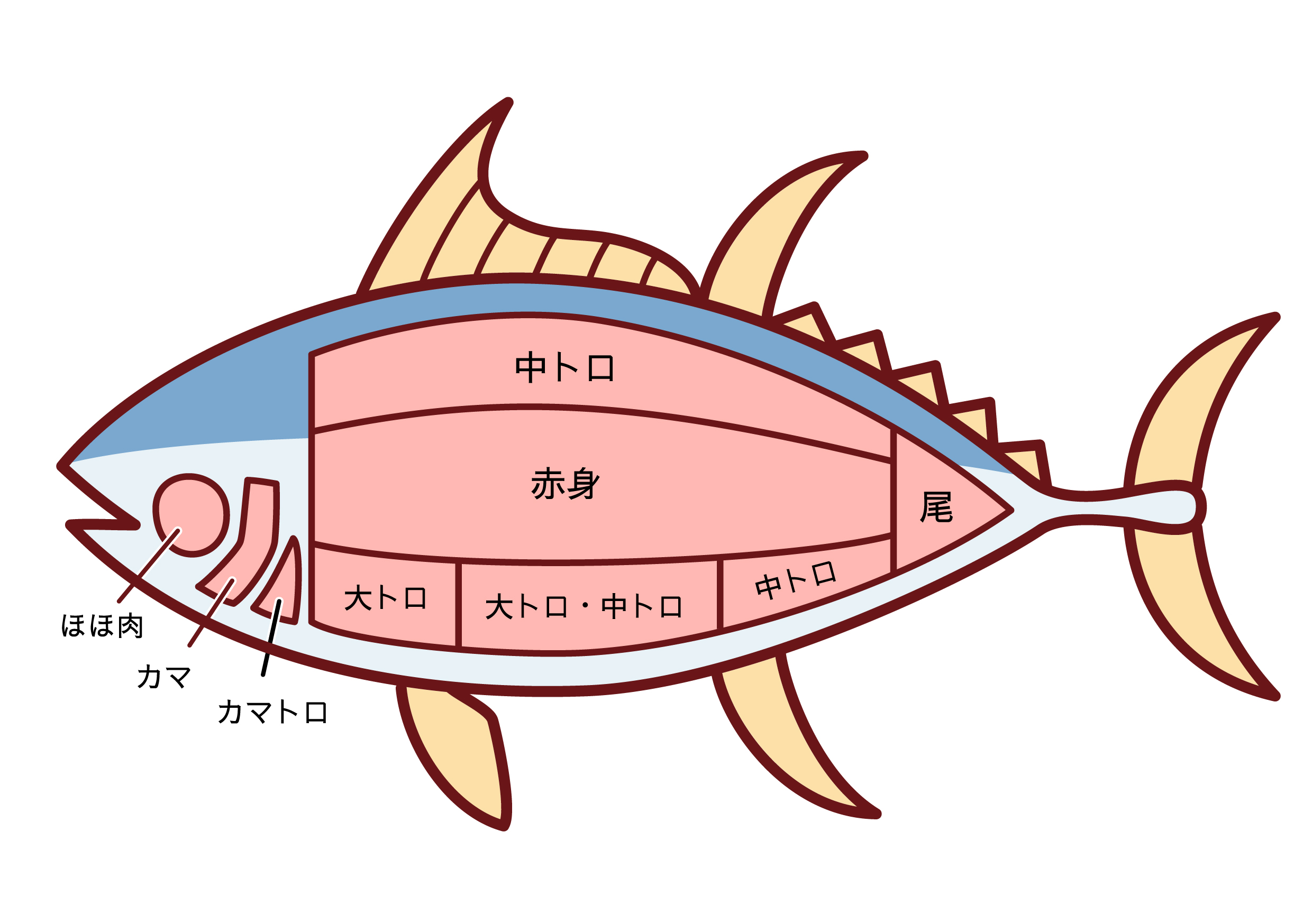 マグロのカマ塩焼きの焼き方と下処理の極意！グリル・オーブンのプロ技