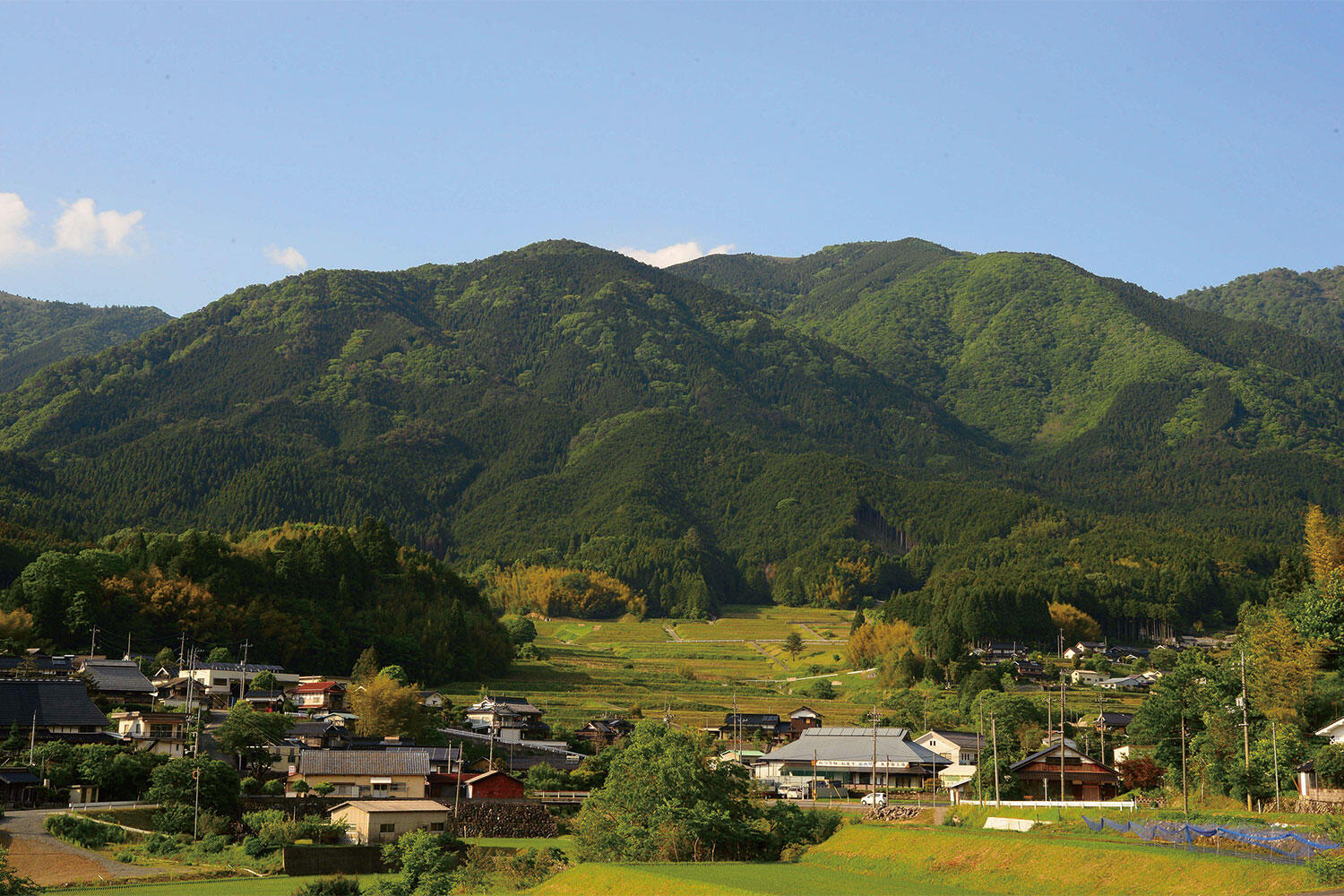 2026年、美作市が魅せる劇的変容！温泉・サーキット・スマート林業が織りなす「次世代型自治体」の衝撃