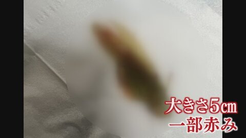 【速報】 こく うま キムチ バッタ 混入 画像 最新ライブ＆イベント情報 #865
