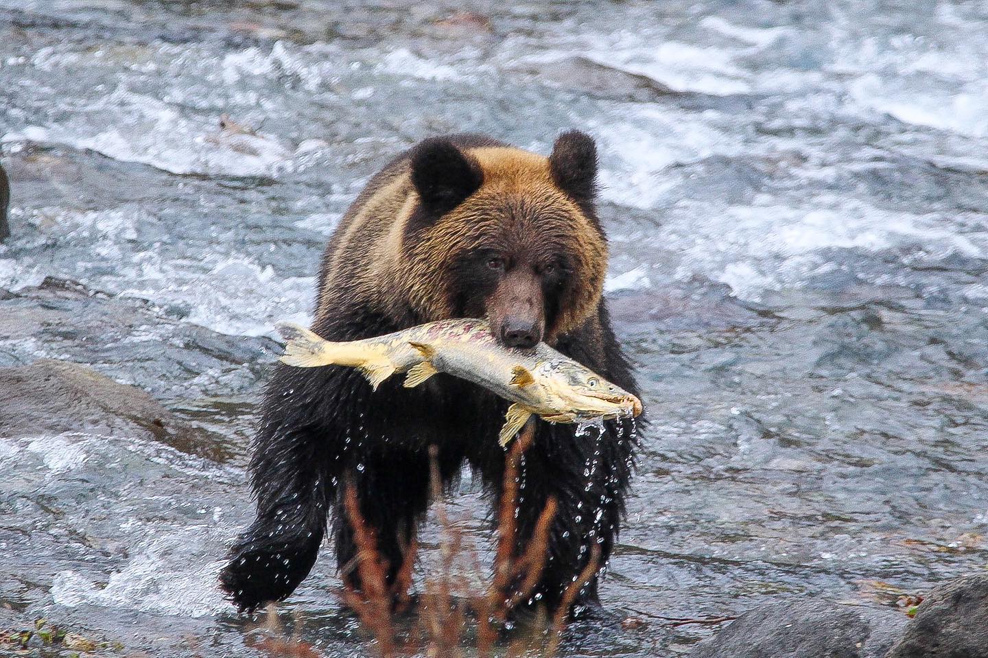 予約殺到の裏側に迫る！クマの陶芸教室が魅せる伝統革新の舞台裏