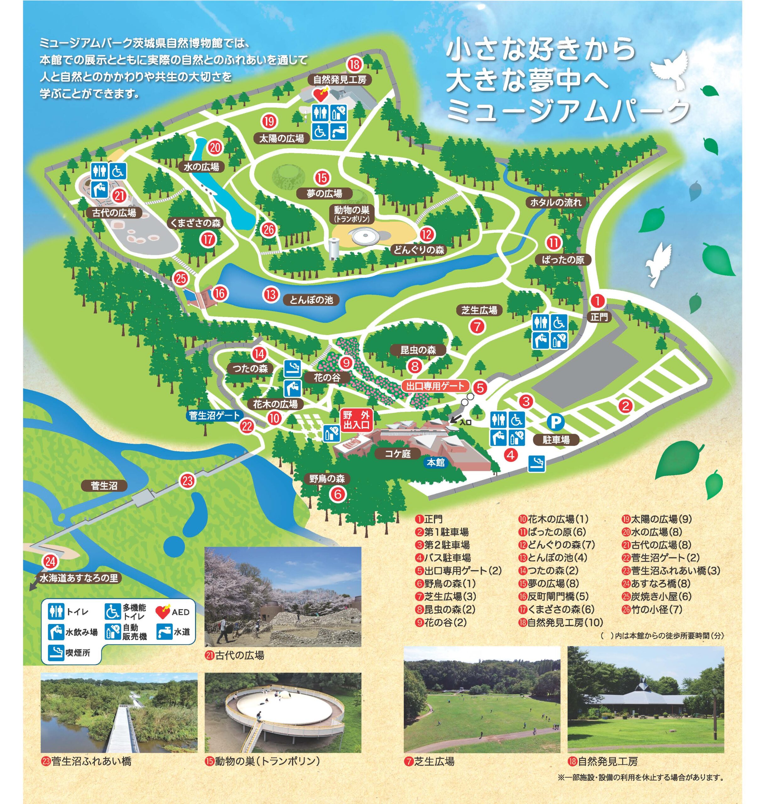 茨城県自然博物館の魅力と混雑回避策！2026年完全攻略ガイド