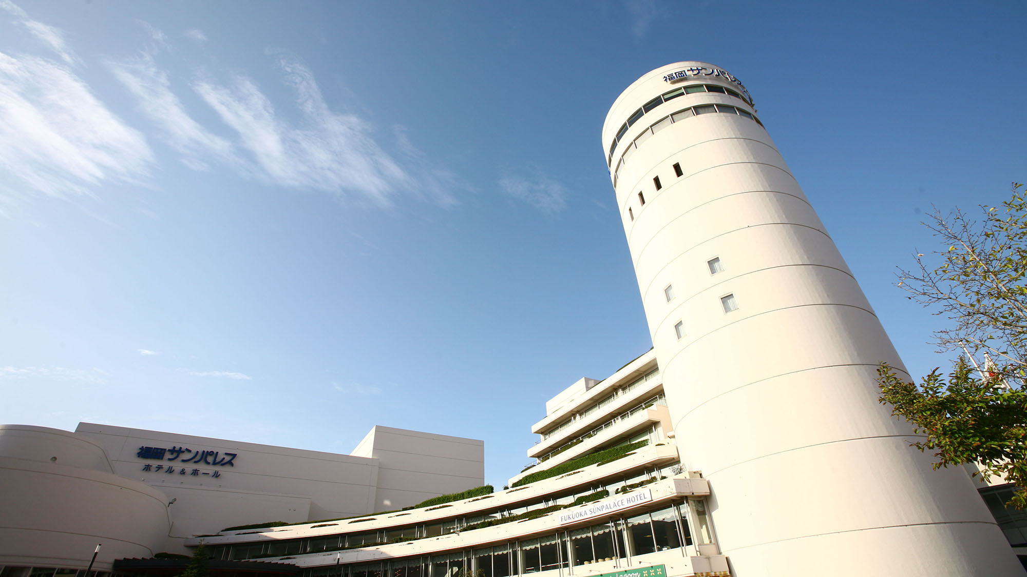 福岡遠征必見！ホテルサンパレス福岡の最新空室と格安予約裏ワザ