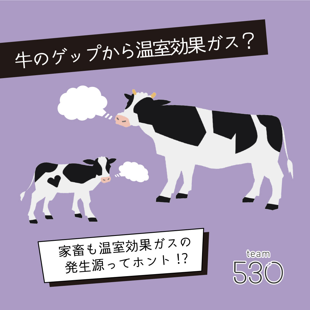牛のゲップが温暖化を加速？二酸化炭素28倍の衝撃と驚きの削減技術
