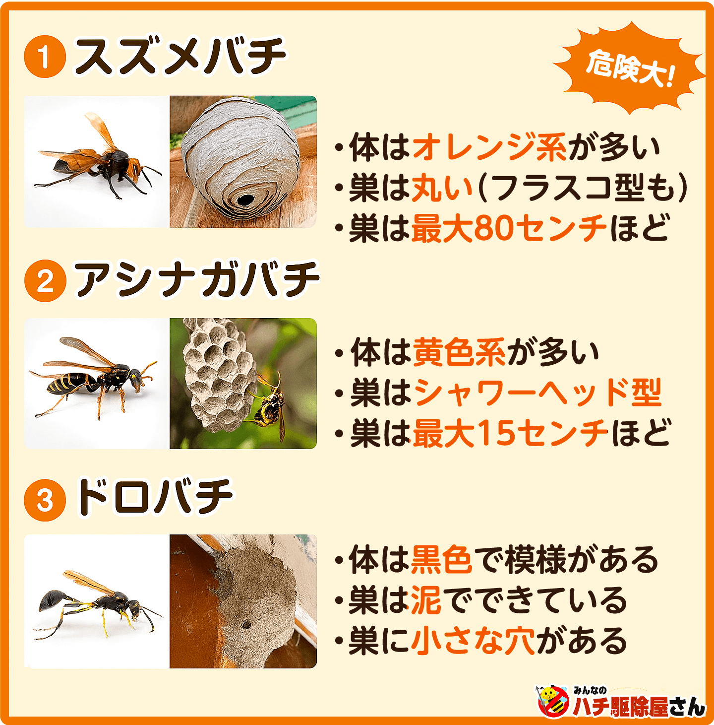 ドロバチとは？泥の巣の危険性と毒の真相・安全な駆除法を徹底解説