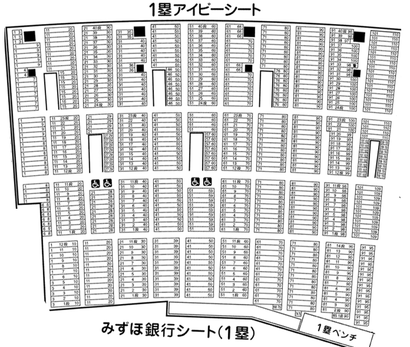 甲子園アイビーシート完全ガイド！雨に濡れない段数と見え方を徹底解説