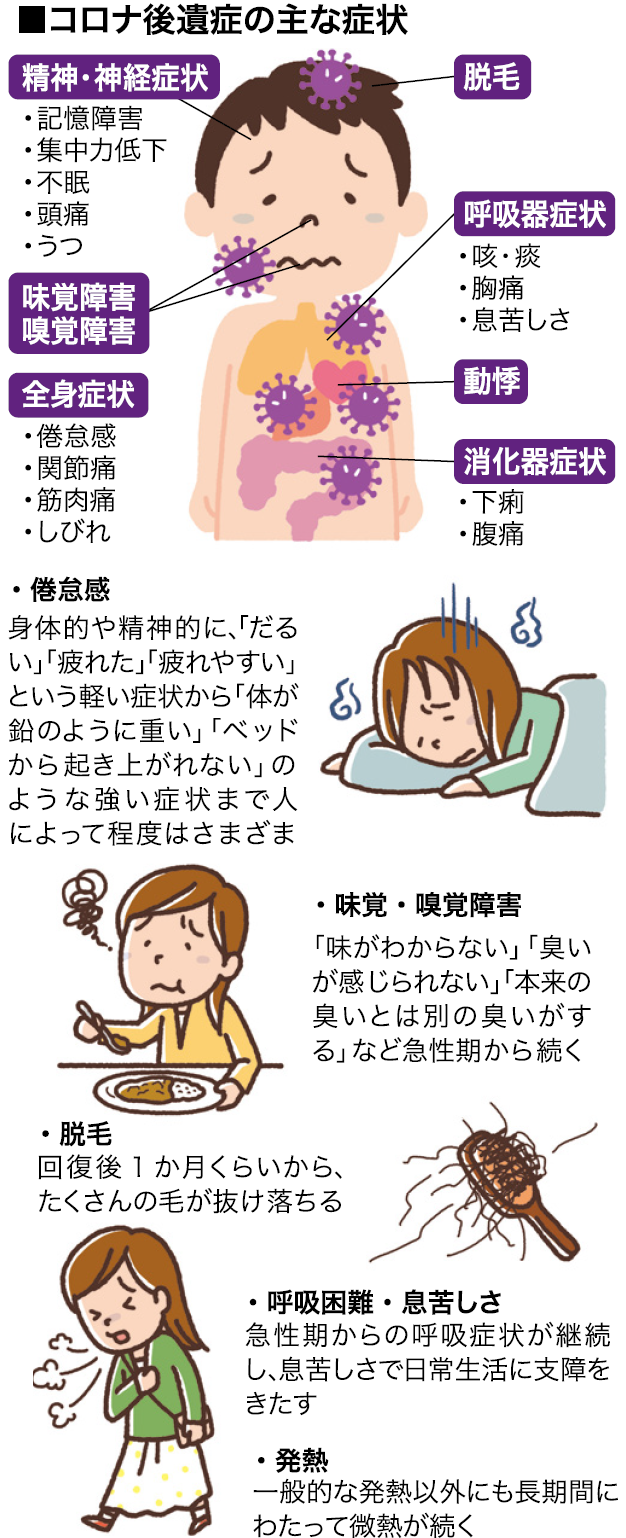 黄斑変性症の見え方とは？歪みや中心暗点の初期症状と最新治療法
