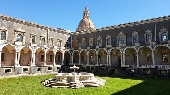 2026年、近くの極上を求めて：街角の「個」が牽引する日本のスペシャルティコーヒー最前線