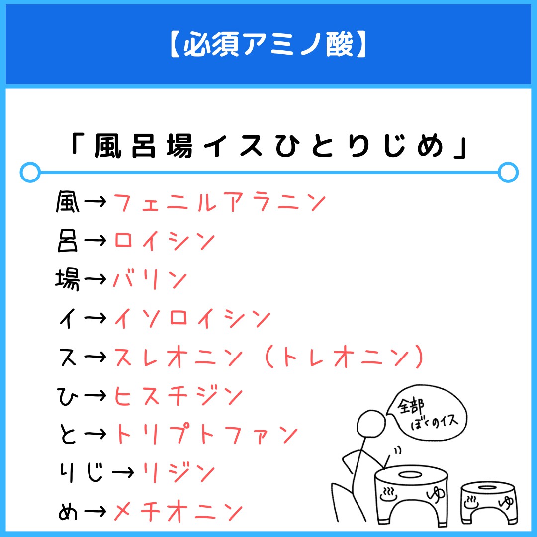 必須アミノ酸9種類の最強覚え方！風呂場イスの語呂合わせと試験対策