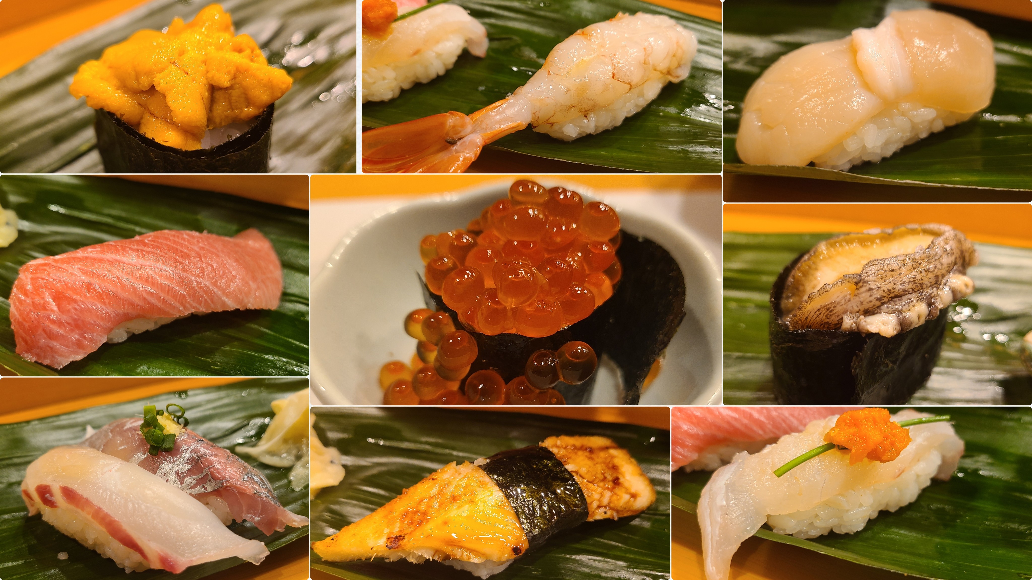 福岡・天神の行列伝説は2026年も止まらない！「ひょうたん寿司」が世界中の食通を魅了し続ける圧倒的理由と現場の熱気