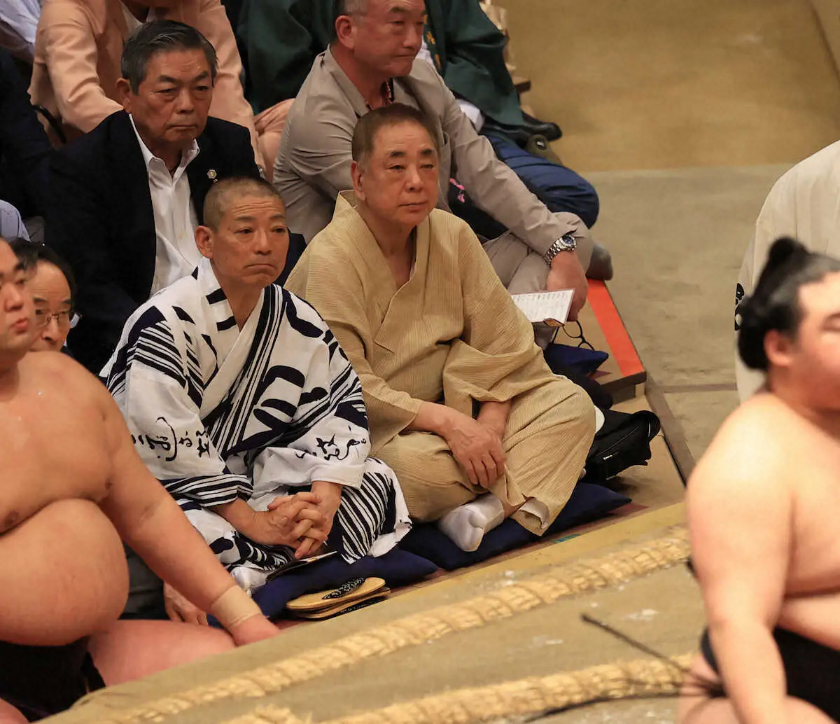 大相撲中継に映る芸能人は誰？砂かぶり席の謎と元力士の現在を徹底追跡