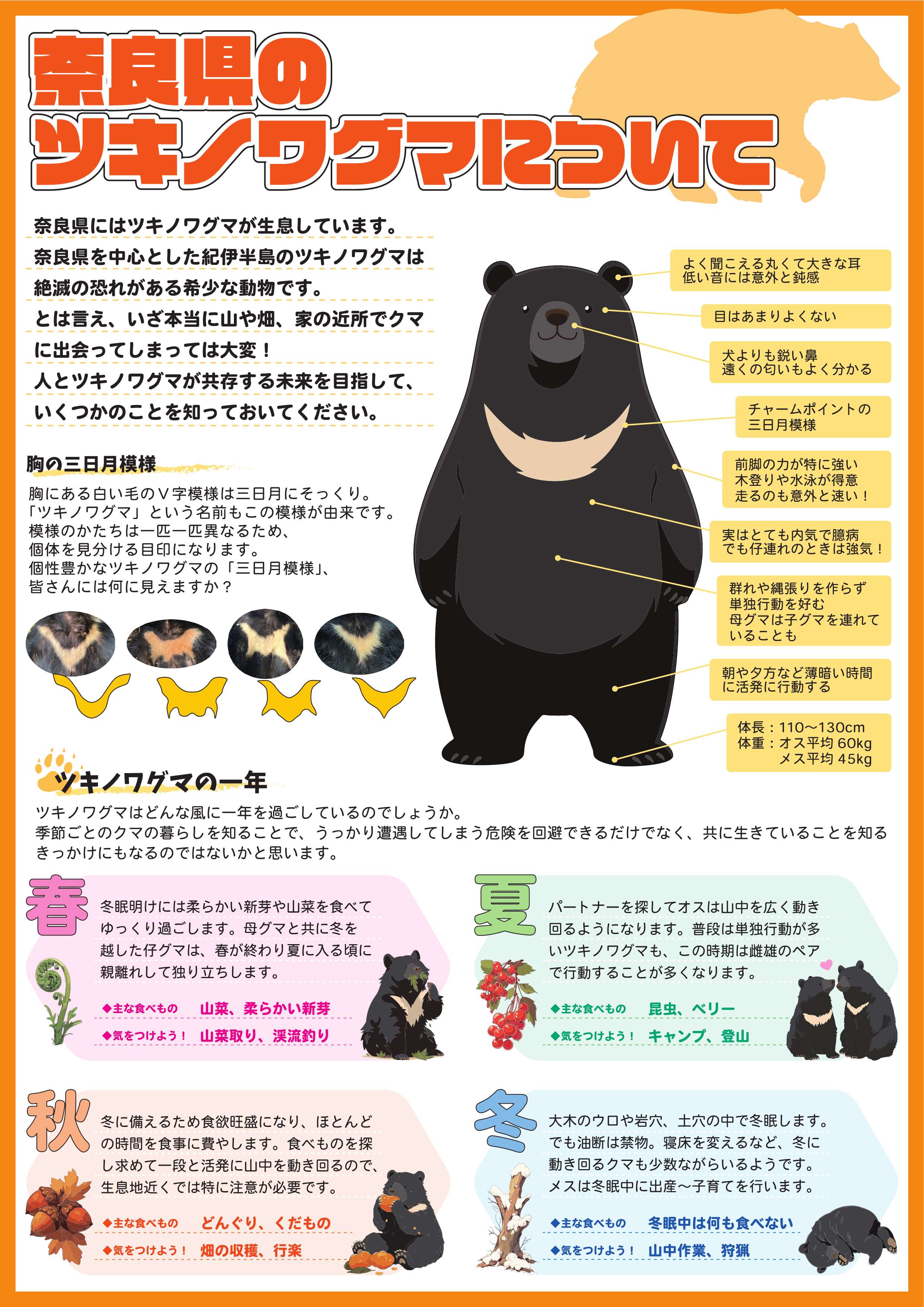 奈良の熊出没はなぜ急増？吉野・十津川の危険エリアと2026年対策
