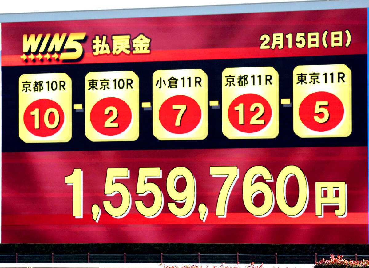 Win5過去データ徹底分析！歴代最高5.5億の条件と荒れる法則