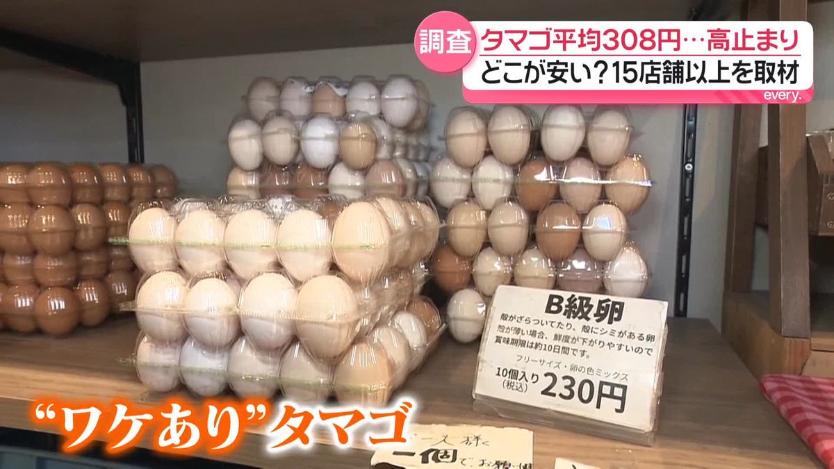 【2026最新】卵はどこが一番安い？激安店比較と特売日の裏ワザ