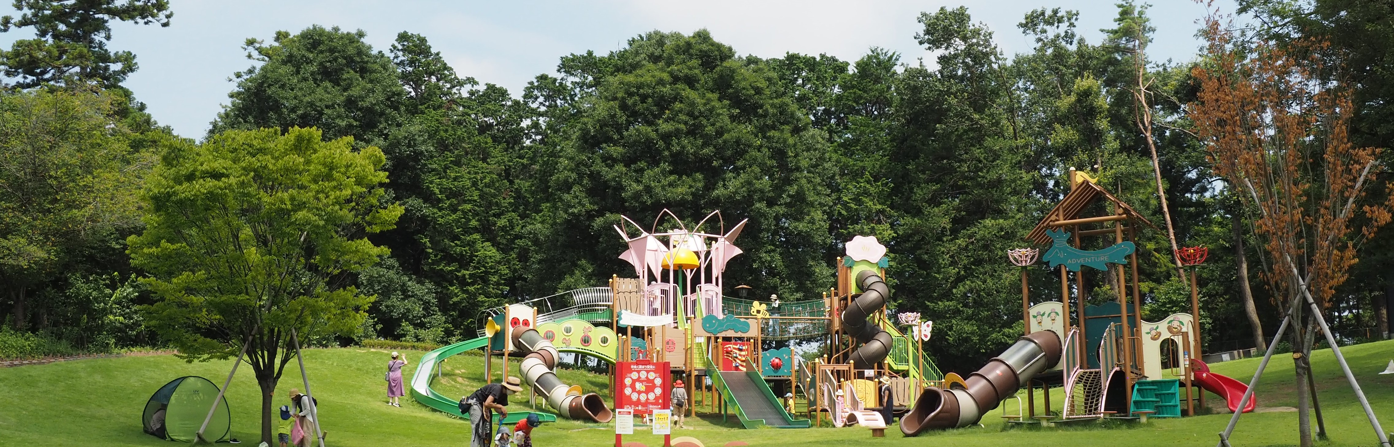 東松山市農林公園の魅力と予約攻略！いちご狩り＆カフェ最新事情