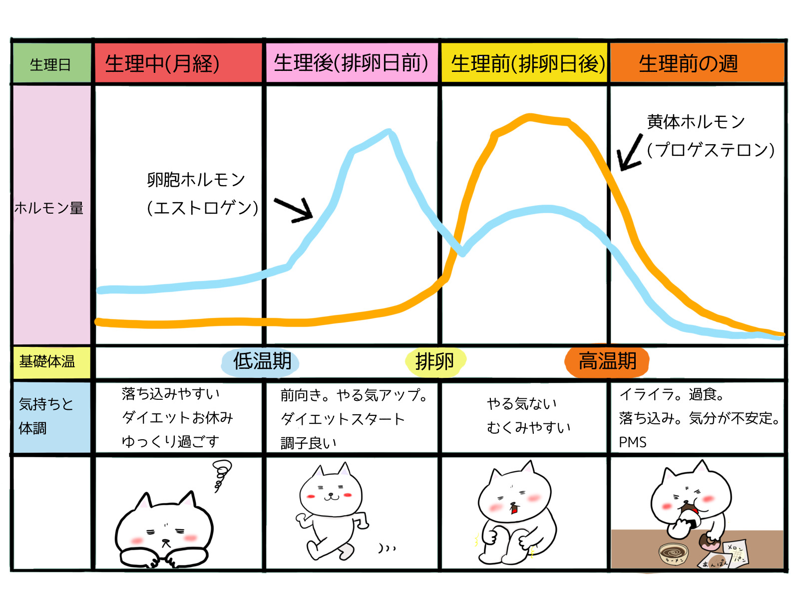 生理前の止まらない食欲の正体とは？暴食を防ぐホルモン科学と対策