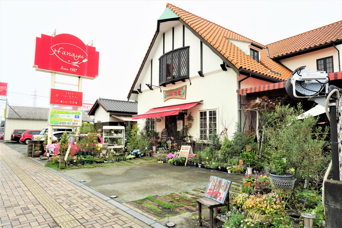 【2026年最新ルポ】植物好きが全国から集結！「フラワー 花 友」が切り開く、緑と人が繋がる次世代ボタニカルカルチャーの最前線