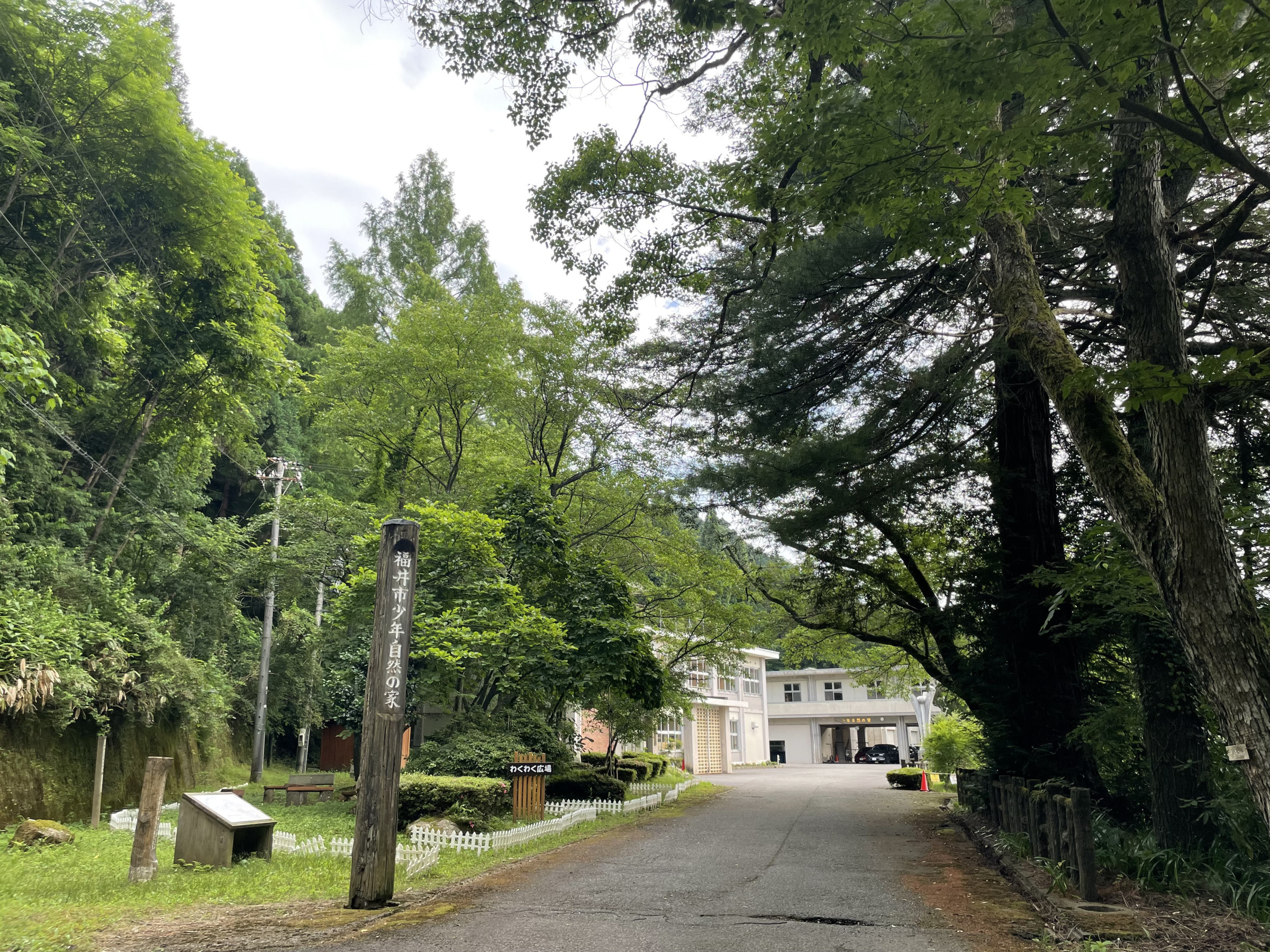 福井市少年自然の家の真価とは？後悔しない利用法と2026年最新解説
