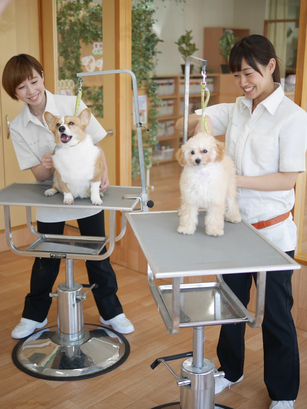 ピアス右2左1は本当にかわいい？意味や黄金比・垢抜け術を徹底解説