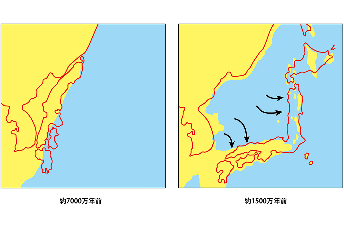 大陸分裂の衝撃！最新地質データが明かす日本列島誕生の真相