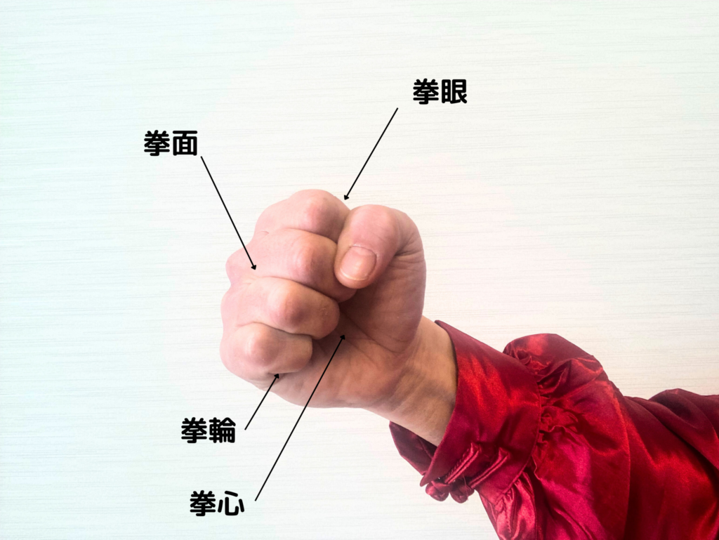 真田広之と三池崇史の映画『拳』が世界を熱狂させる全貌解禁
