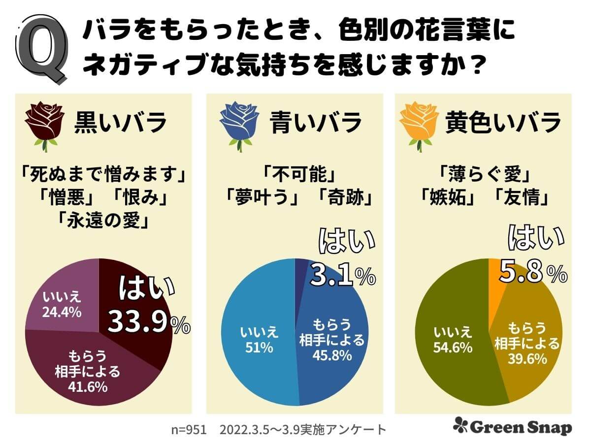 青いバラの花言葉は本当に怖い？「不可能」から「奇跡」へ反転した真相