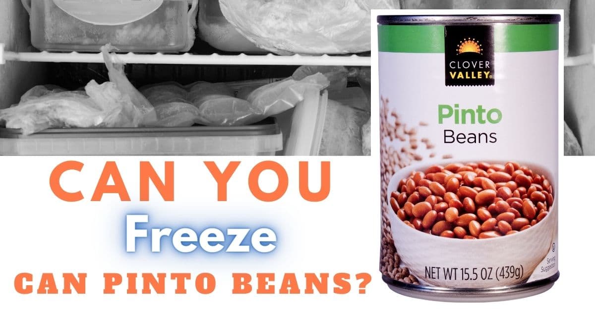 Can You Freeze Pinto Beans After They Are Cooked