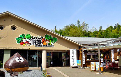 【熱愛】 道 の 駅 能勢 くり の 郷 話題のSns投稿まとめ 2026 #622